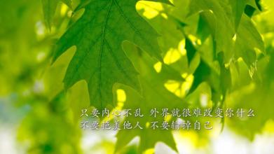话语题材